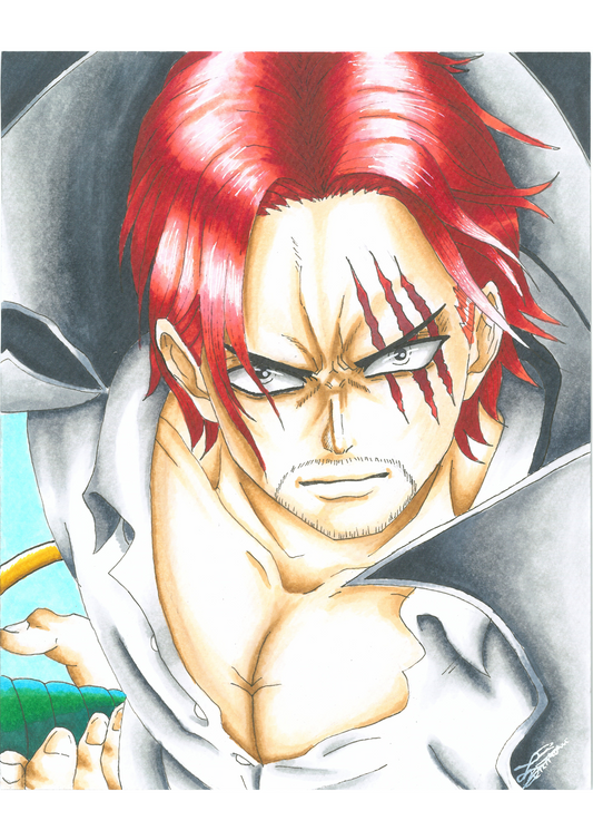 Shanks Imprimé A4