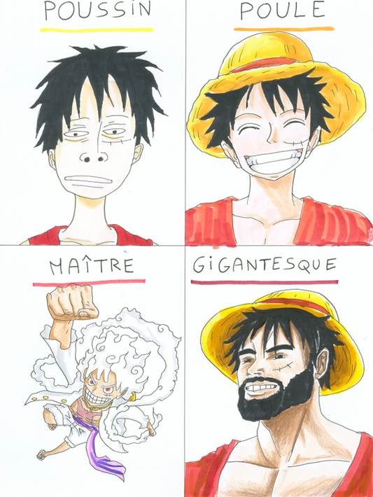 Luffy – Les Quatre Niveaux