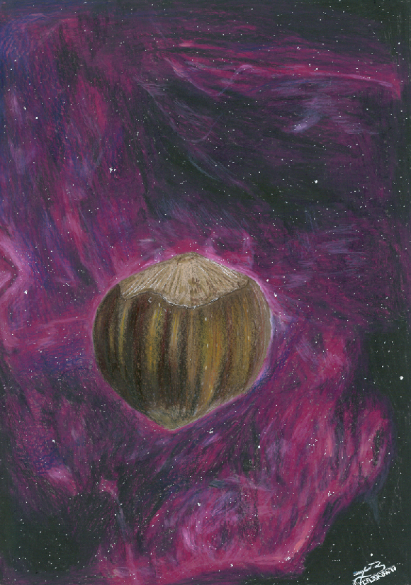 Noisette dans l’Espace