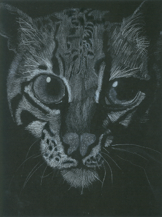 Ocelot Abstrait